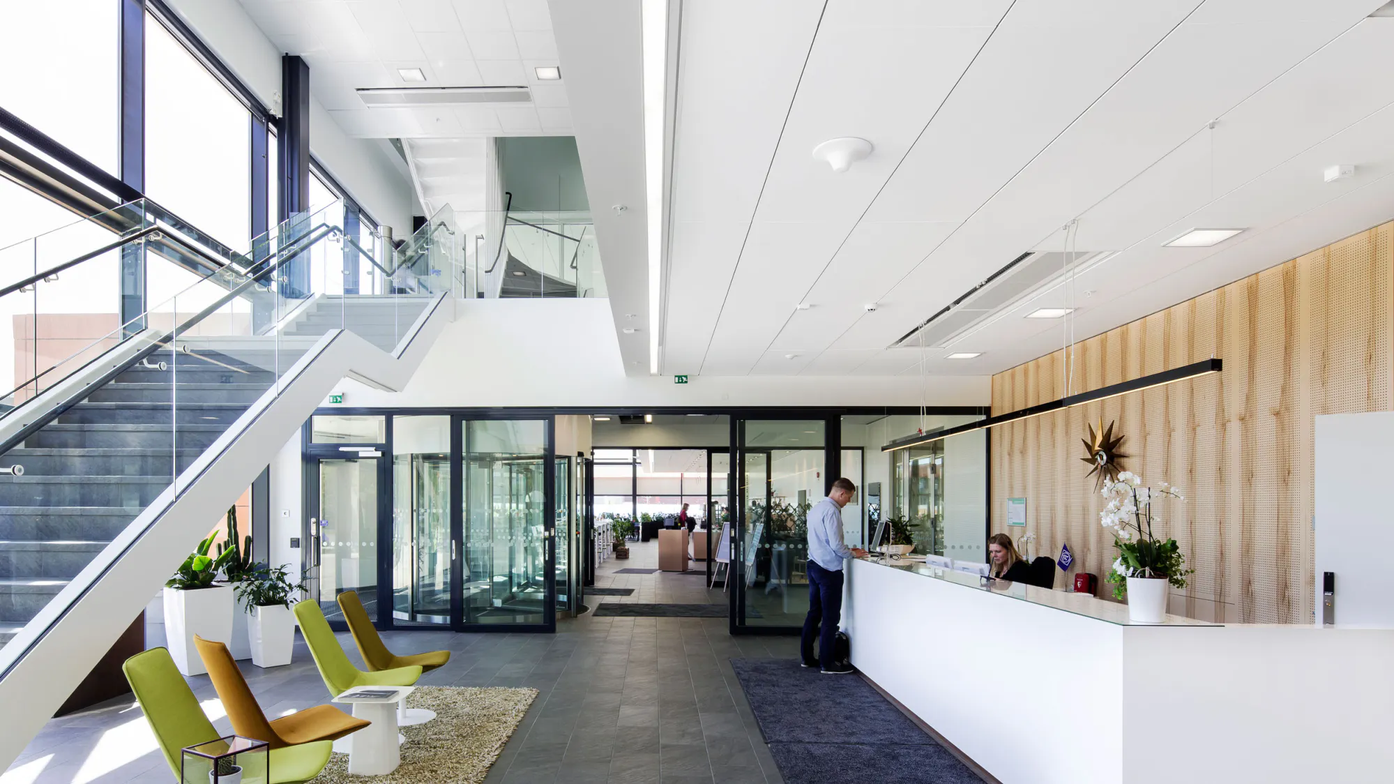 Rockfon® System T24 Z