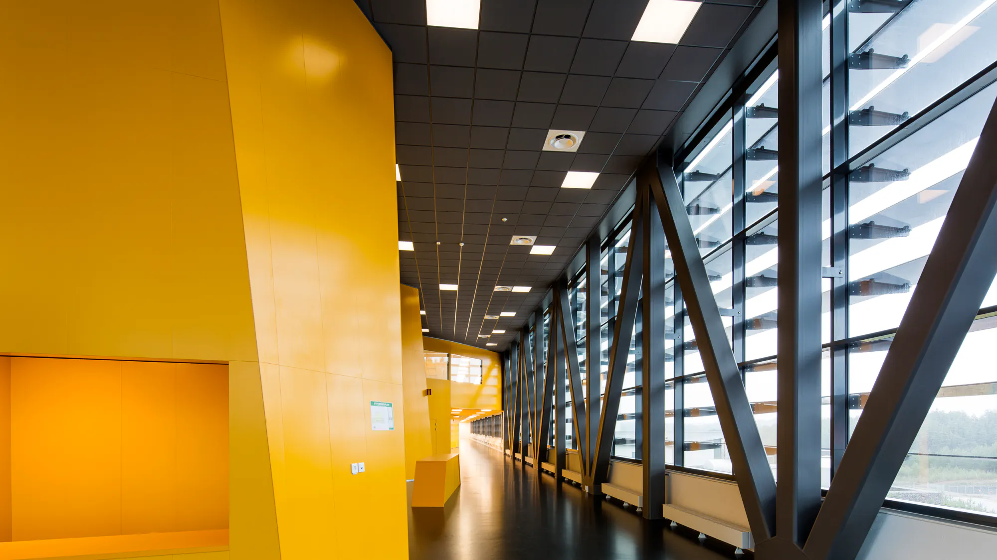 Rockfon® System XL T24 E