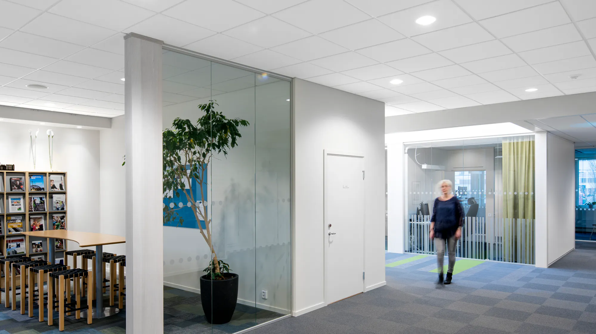 Rockfon® System T24 E