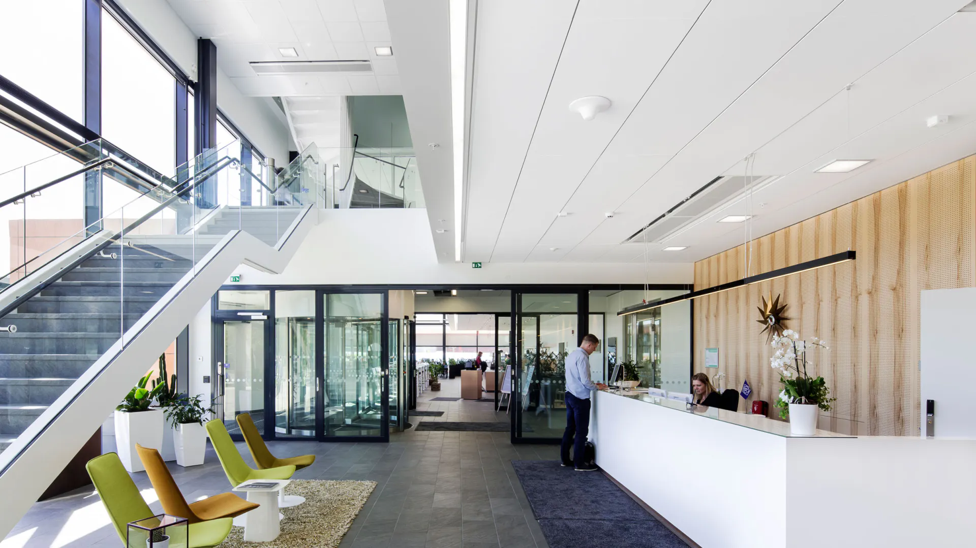 Rockfon® System T24 Z