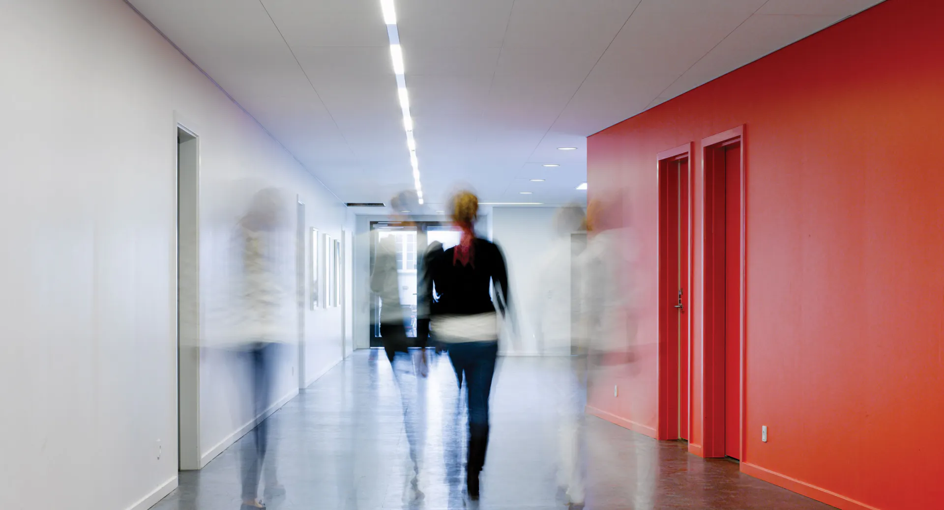 Rockfon Blanka® Fusion