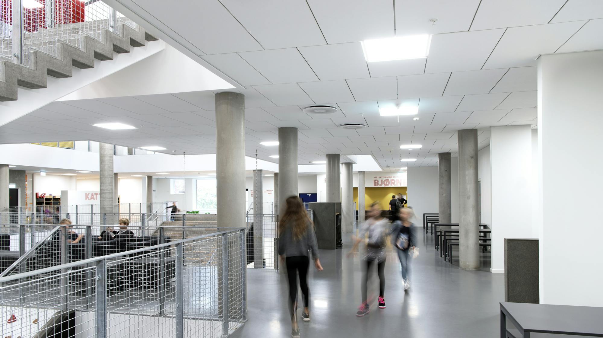 Rockfon® System T24 M