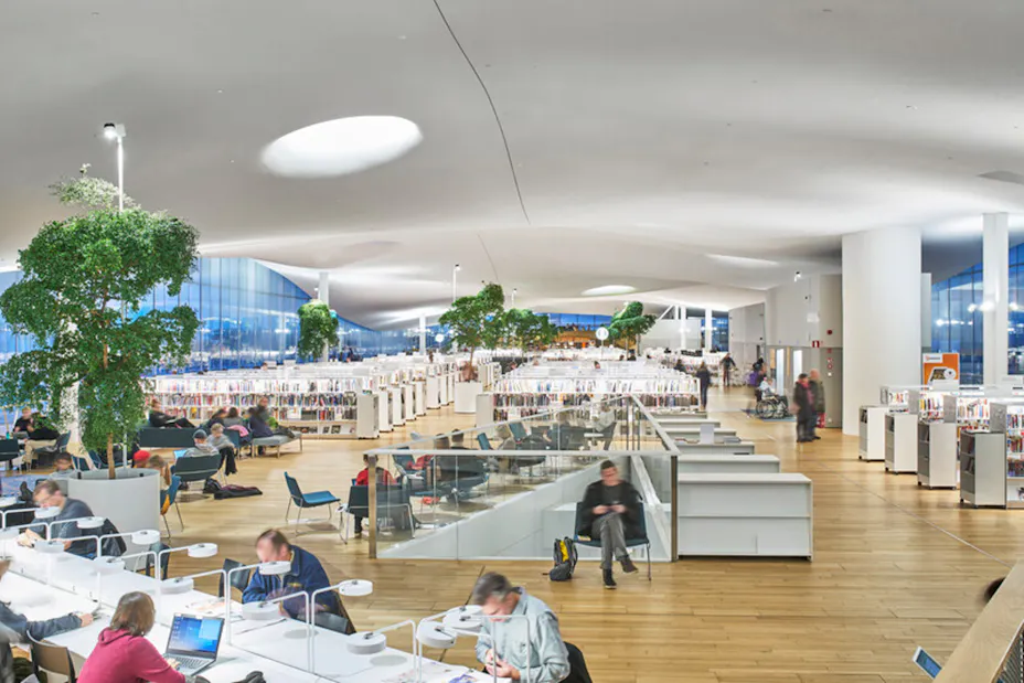 20200117 RW-RF PHO 007054.jpg