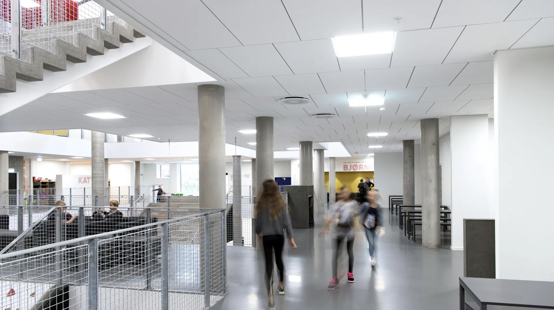 Rockfon® System T24 M