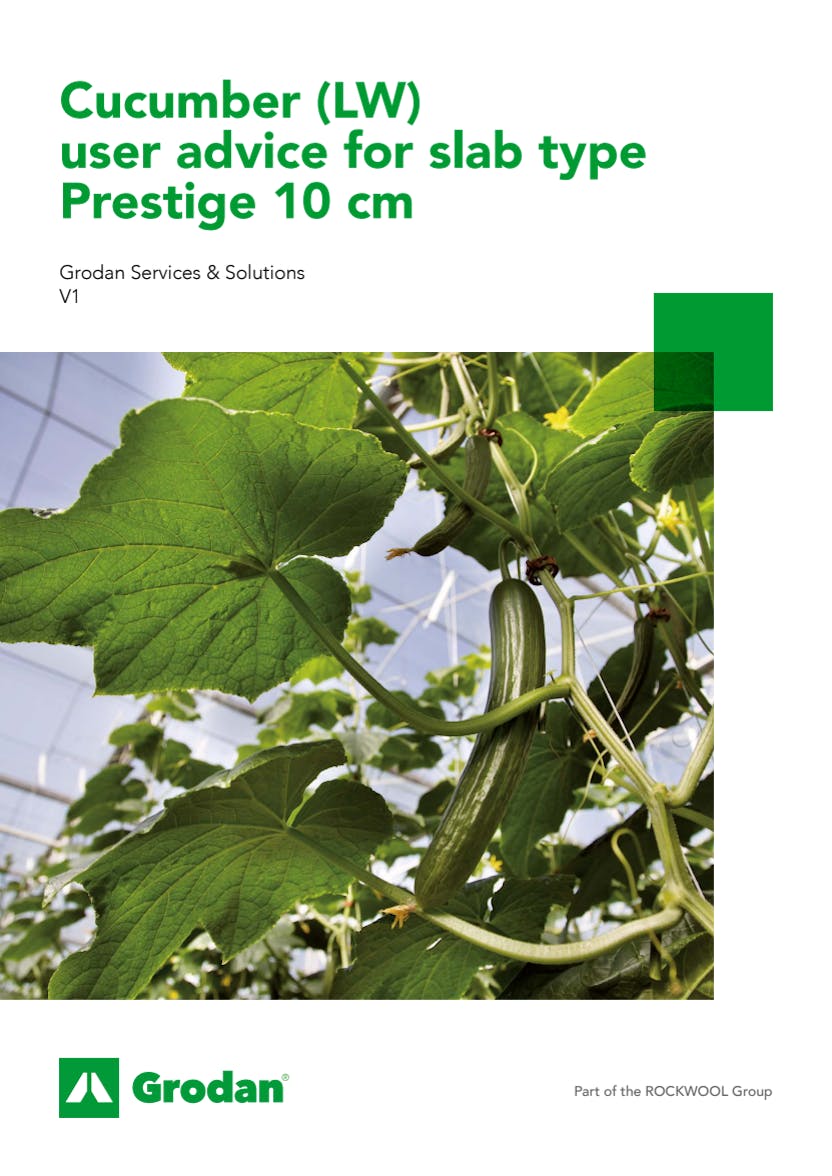 Grodan_6-phase brochures_Cucumber_Prestige 10cm.pdf
