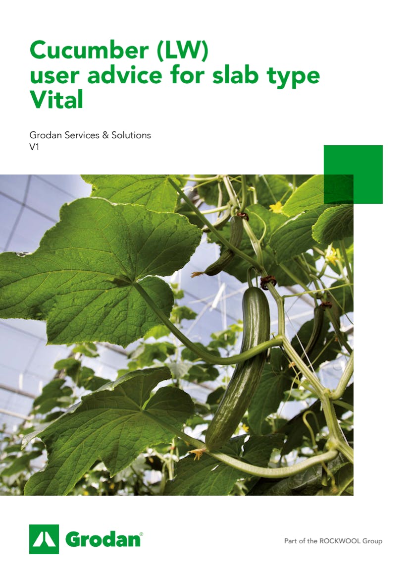 Grodan_6-phase brochures_Cucumber_Vital.pdf