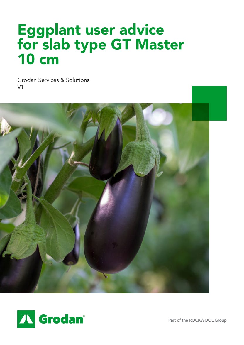 Grodan_6-phase brochures_Eggplant_GT Master 10cm.pdf