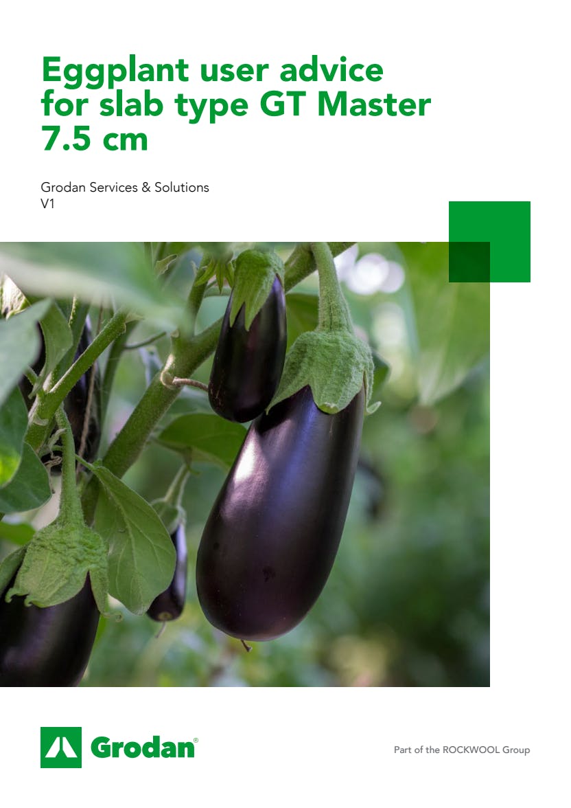 Grodan_6-phase brochures_Eggplant_GT Master 7.5cm.pdf