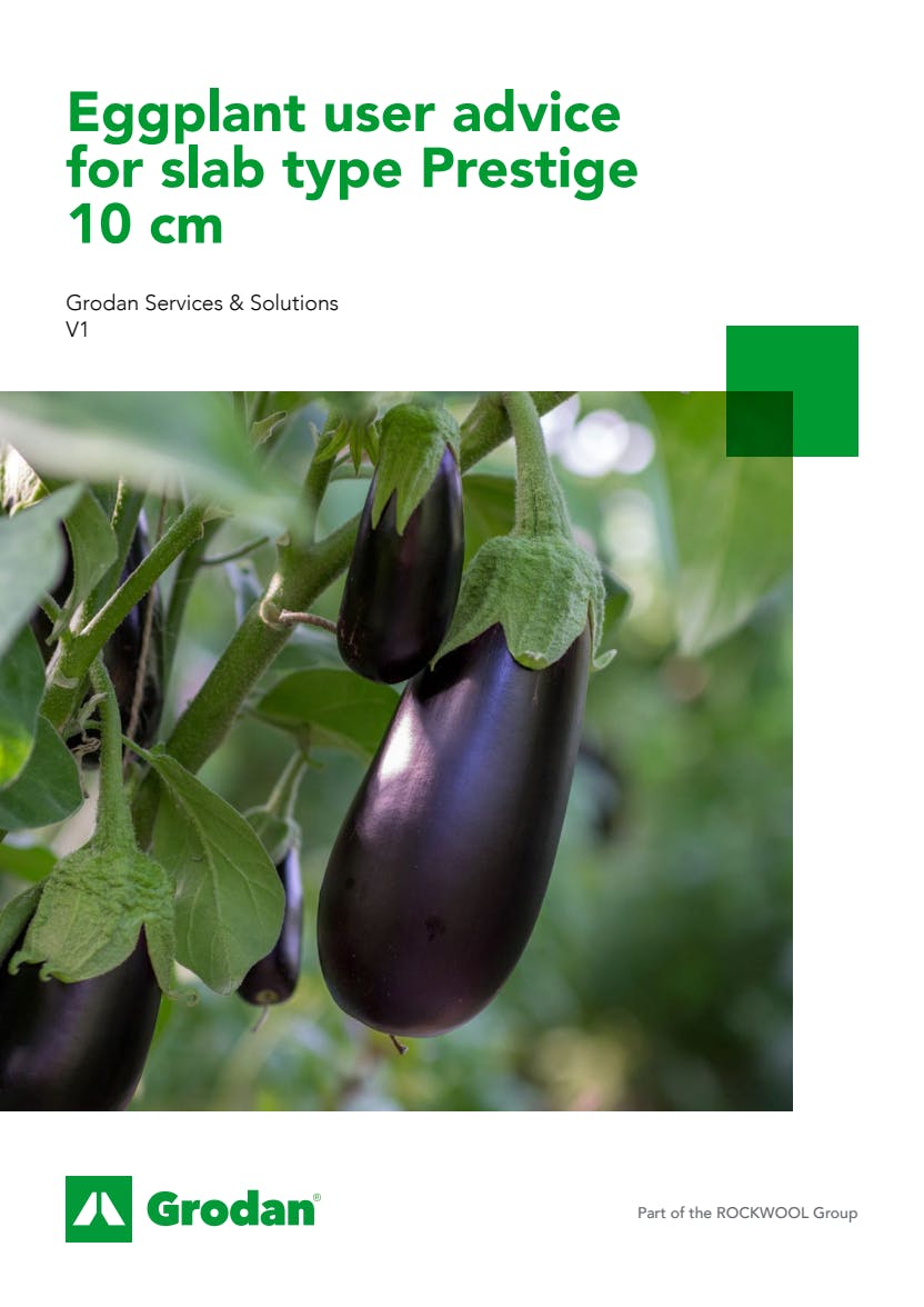 Grodan_6-phase brochures_Eggplant_Prestige 10cm.pdf