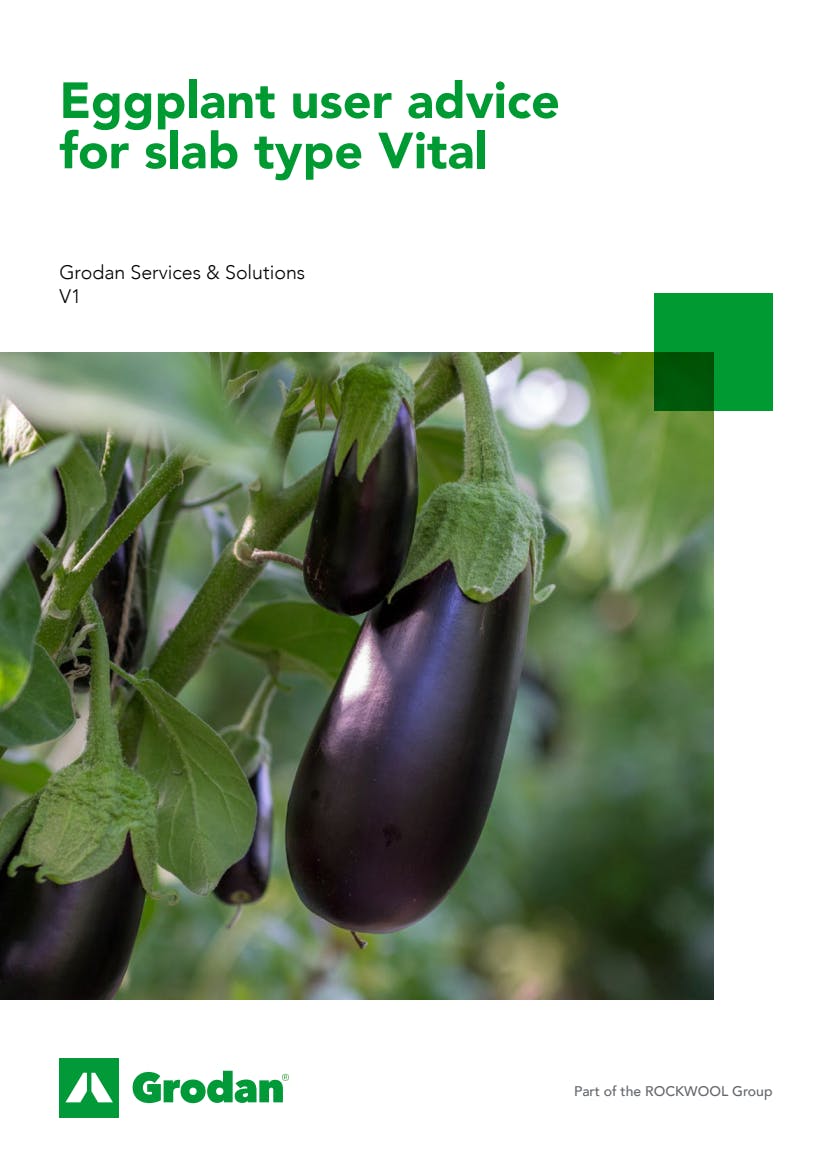 Grodan_6-phase brochures_Eggplant_Vital.pdf