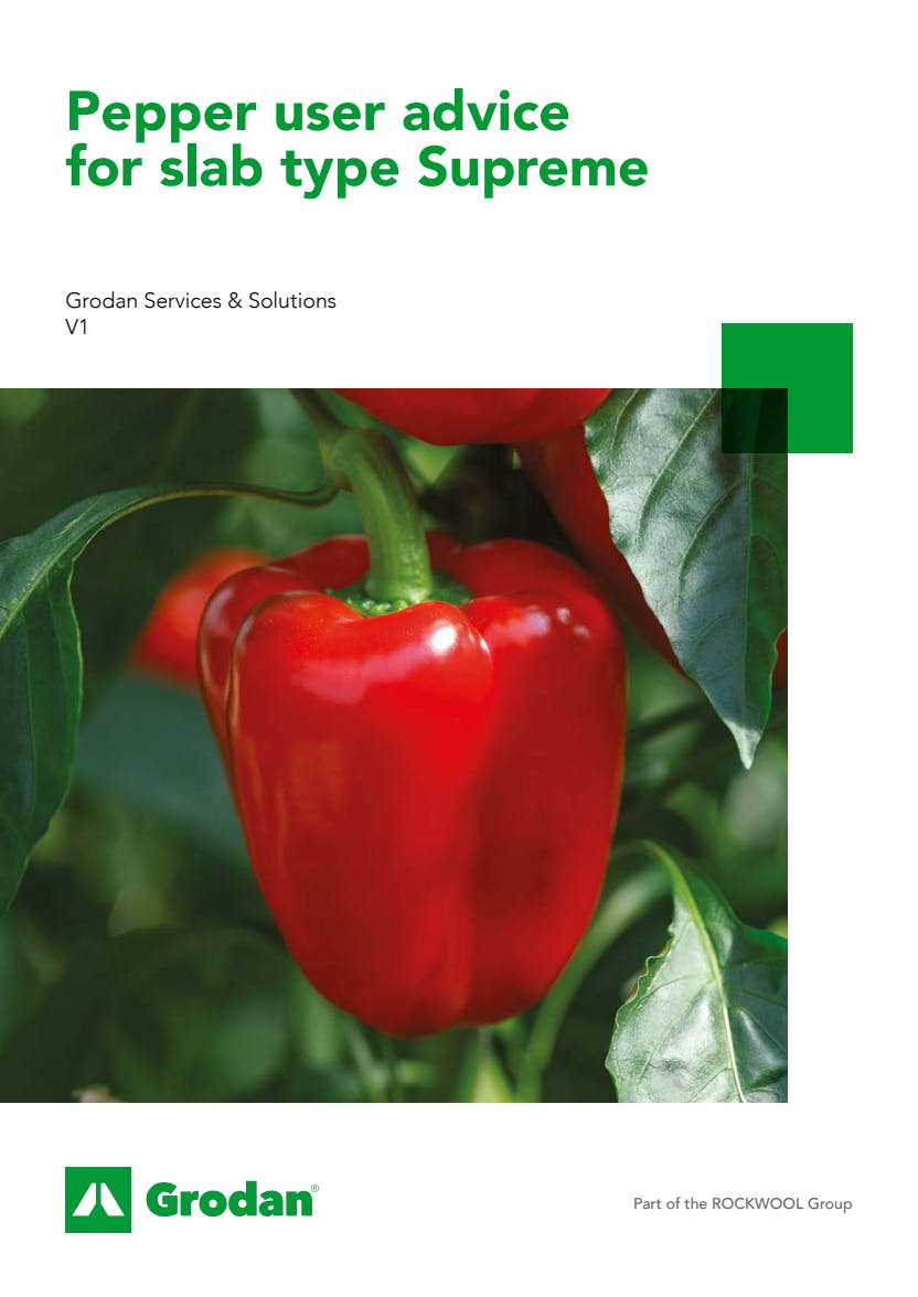 Grodan_6-phase brochures_Pepper_Supreme.pdf