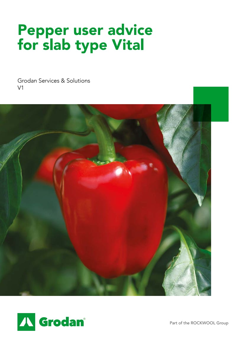 Grodan_6-phase brochures_Pepper_Vital.pdf