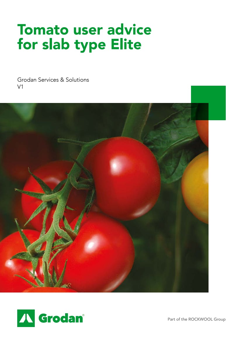 Grodan_6-phase brochures_Tomato_Elite.pdf