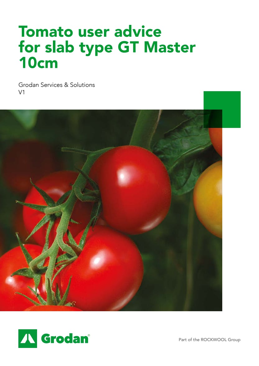 Grodan_6-phase brochures_Tomato_GT Master 10cm.pdf