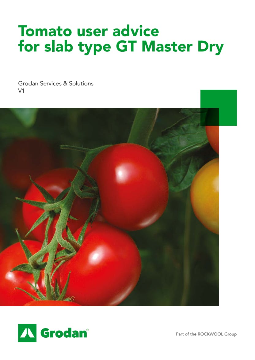 Grodan_6-phase brochures_Tomato_GT Master Dry.pdf