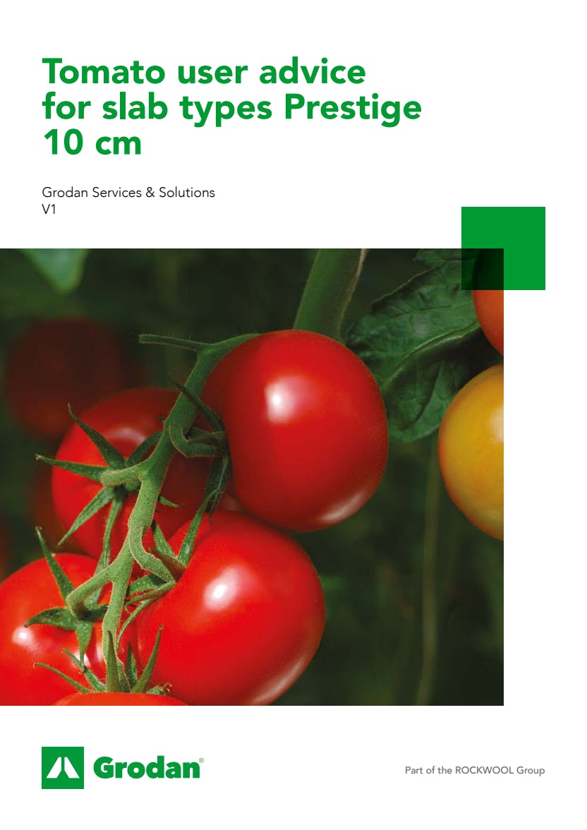 Grodan_6-phase brochures_Tomato_Prestige 10 cm.pdf