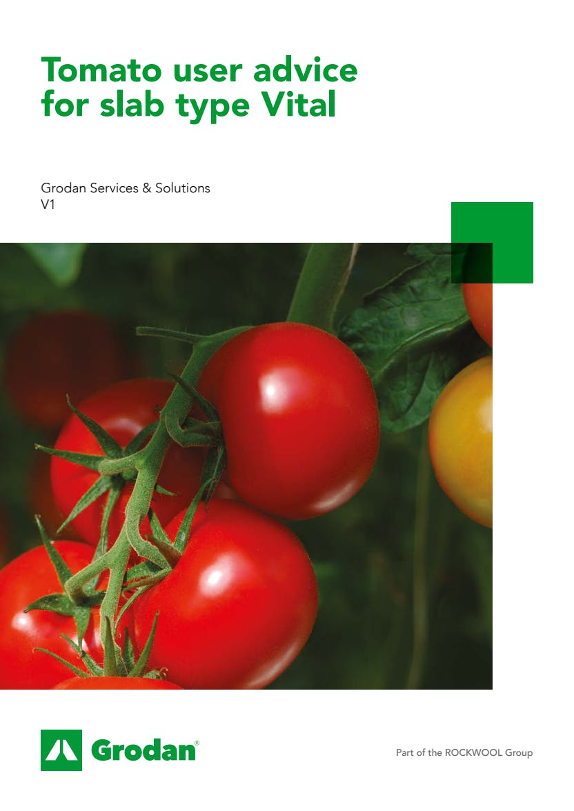 Grodan_6-phase brochures_Tomato_Vital.pdf