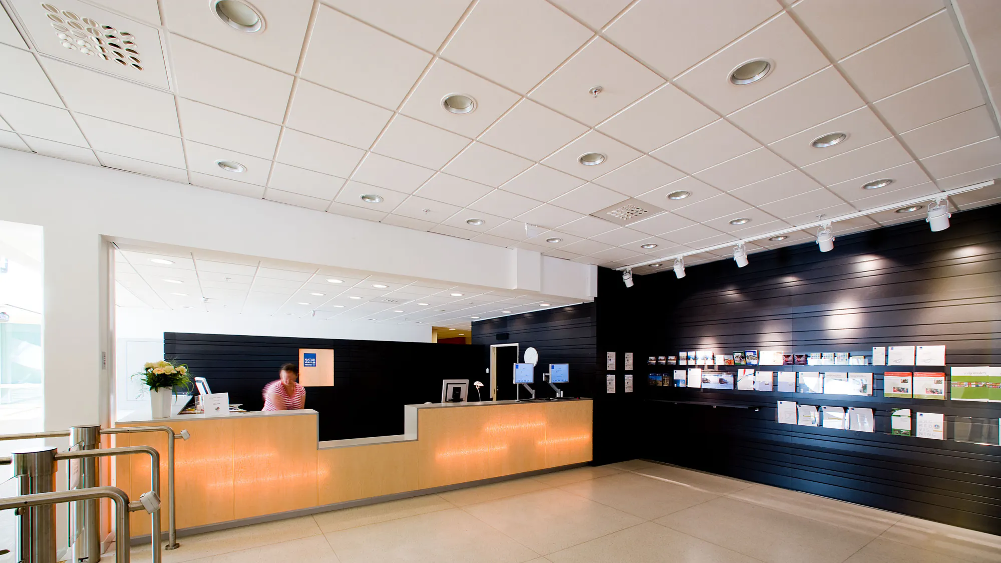 Rockfon® System T24 E