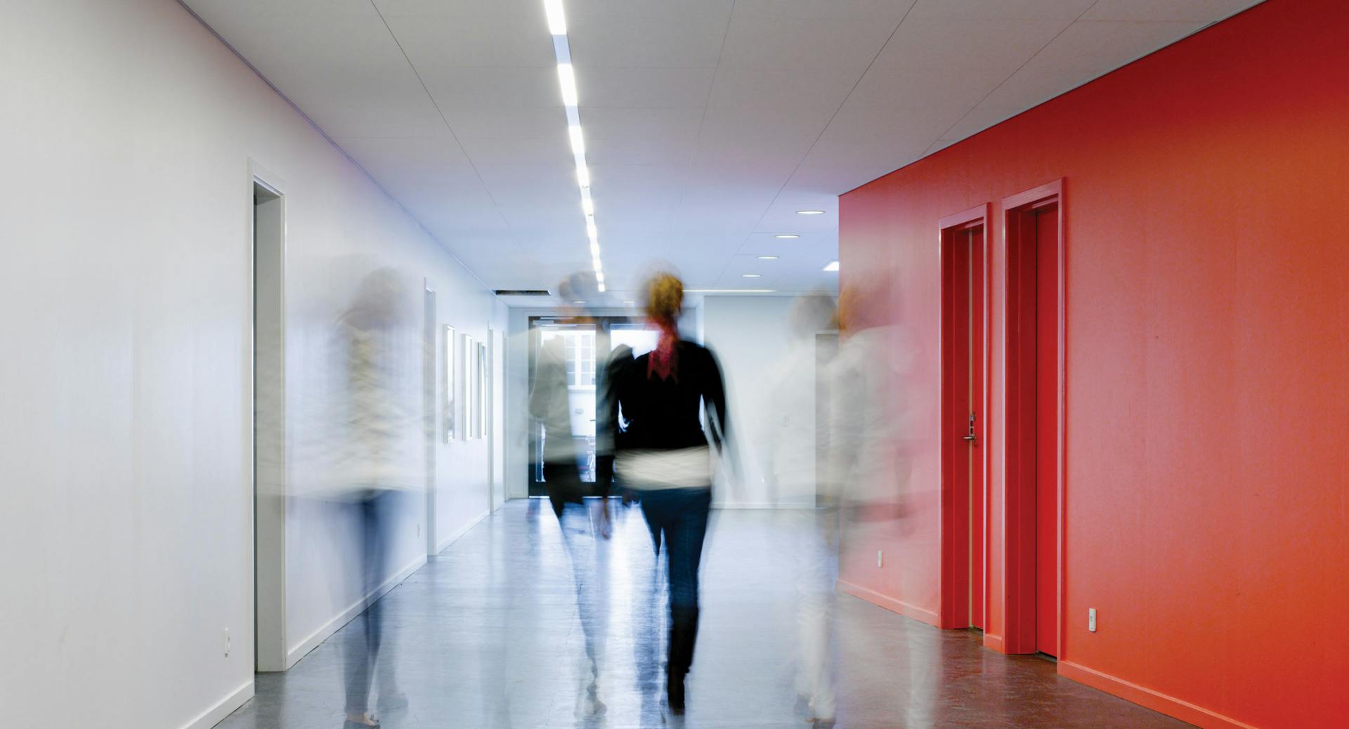 Rockfon Blanka® Fusion